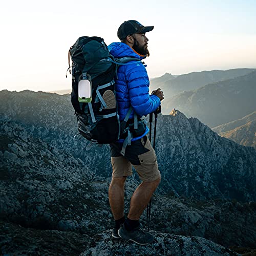 Swiss+Tech LED Camping Lantern, 2 Pack Rechargeable Camping Lights with 4 Light Modes, Portable Tent Lights for Camping Power Outage Fishing Hiking Emergency Hurricane Home