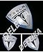 DELEIKA TESLA MOEDL S MOEDL X MOEDL 3 No Drilling Changeable Logo Door Courtesy Welcome Light Laser Emblem Logo Kit Ghost Shadow Lights logo chips replacement 2-pc set (White LOGO)