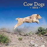 Cow Dogs 2015 Wall Calendar