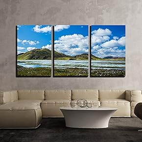 3 Piece Canvas Wall Art - Landscape with Mountains and Flowers Under The Sky - Modern Home Art Stretched and Framed Ready to Hang - 16"x24"x3 Panels