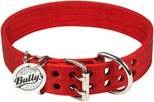 Pitbull Collar, Dog Collar for Large Dogs, Heavy Duty Nylon, Stainless Steel Hardware (XL, Fire Engine Red)