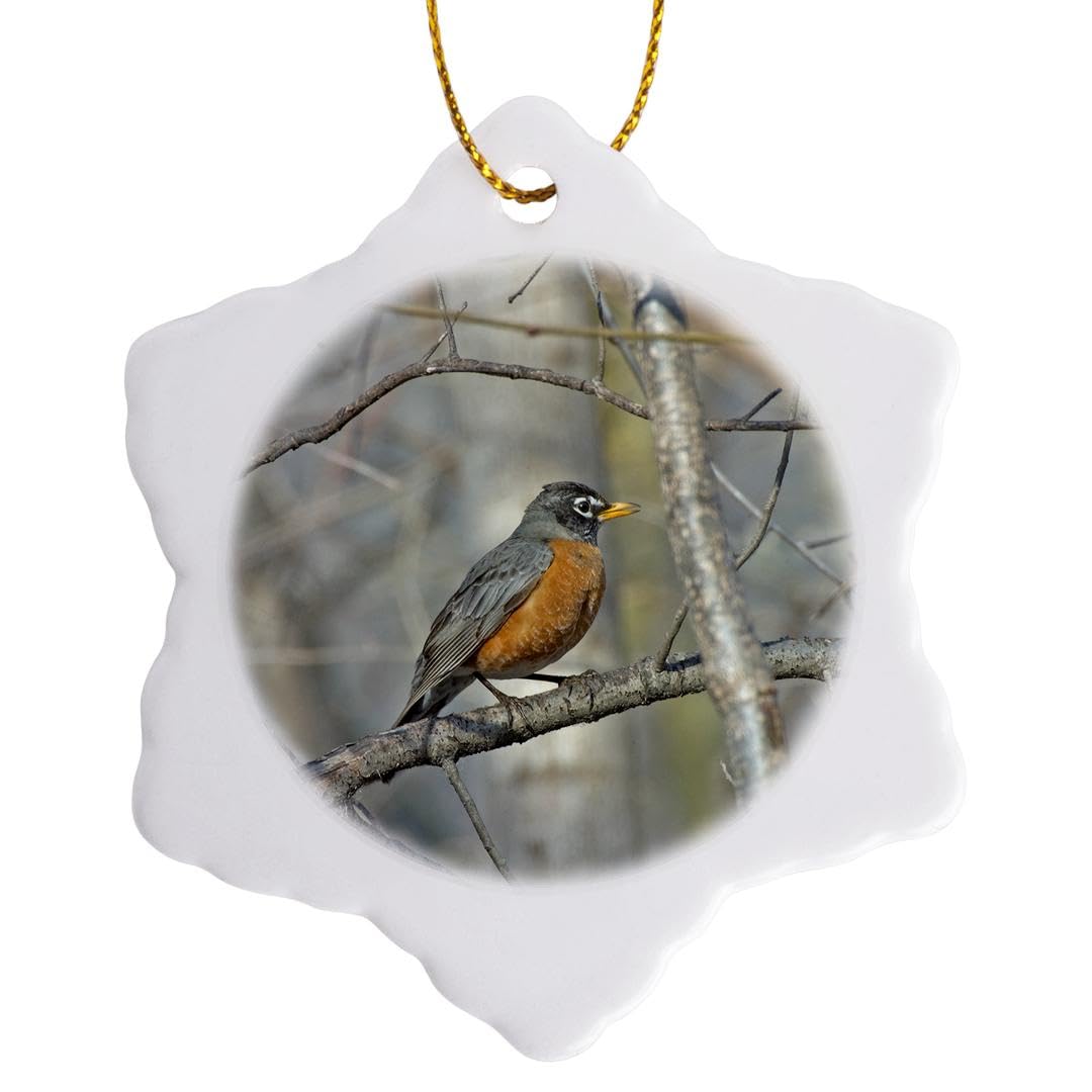 3dRose American Robin Sitting on a Tree Branch on a Sunny Day Snowflake Ornament, Multi-Colour, 3-Inch