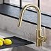 Kraus KPF-2620BB Oletto Kitchen Faucet, Brushed Bronze primary