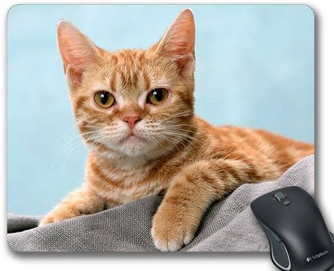 Custom Printed Non-Slip Mousepad Gaming Mouse Pad/Mat in 220mm*180mm*3mm -1B1828009T