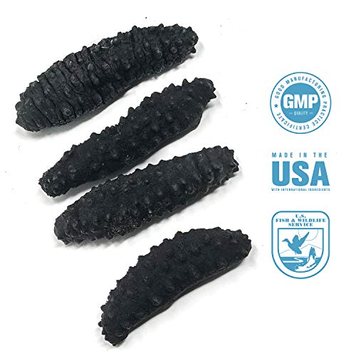 SB Organics Black Pin Medium - Wild Caught Sea Cucumber Dried All Natural Nutritious - 8 oz.