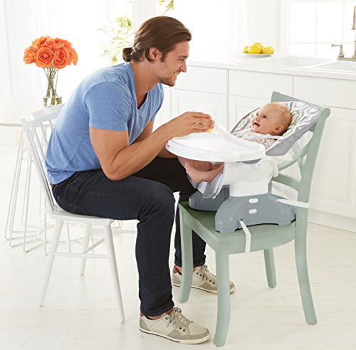 2 Fisher+Price+SpaceSaver+High+Chair+Meadow
