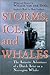 Storms, Ice, and Whales: The Antarctic Adventures of a Dutch Artist on a Norwegian Whaler by Willem van der Does, Ruth van Baak Griffioen