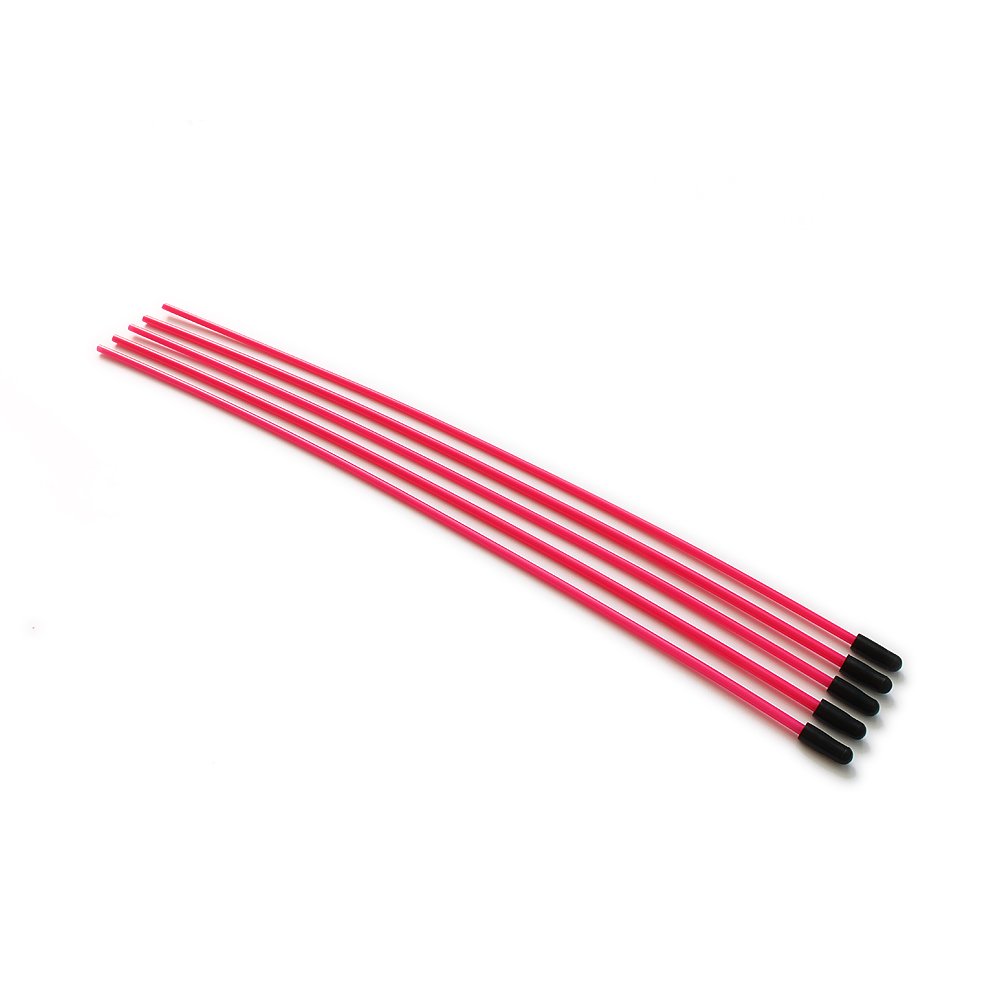 RCAWD Tube Receiver Plastic Antenna Pipe Aerial W/Cap for 2.4GHZ Receivers 1/5 1/8 1/10 RC Hobby Model Car Spare Parts 5Pcs(Red)