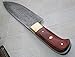 Rk -249, Custom Handmade Damascus Steel Chef Knife - Solid Colored Pakka Wood Handle with Brass Bolsters