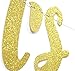 Qttier Let's Party Bitches Gold Glitter Banner, 21st 30th 40th 50th Birthday Bachelorette/Engagement /Bridal Shower/Birthday Party Decorations