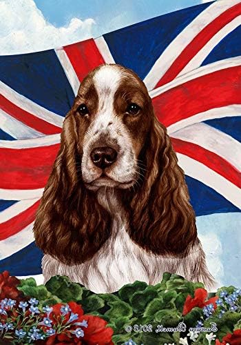 Liver White Cocker Spaniel 2025