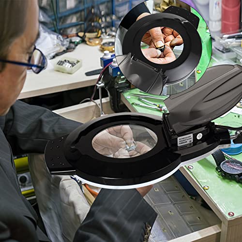 5X & 10X Magnifying Glass with Light and Stand, ADDIE KIRKAS 2,200