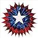 Patriotic Fan-Burst (red, white, blue) Party Accessory  (1 count) (1/Pkg)