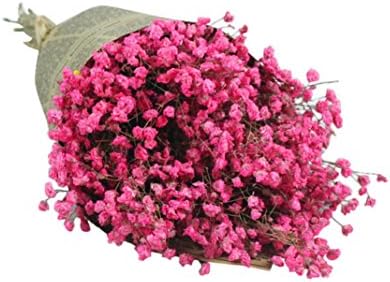 Kintaz Natural Dried Gypsophila Flower Bouquet Decorative Baby's Breath Bunch Dried Blooms Home Decor Best Gift (Pink)