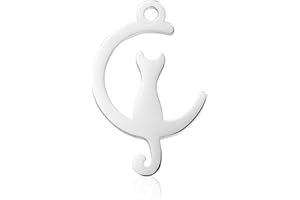 DanLingJewelry 10Pcs Crescent Moon with Cat Shape Charms Stainless Steel Cat Charms Animal Cat Pet Charms for Jewelry Making