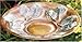 Achla Designs Green Leaves Birdbath