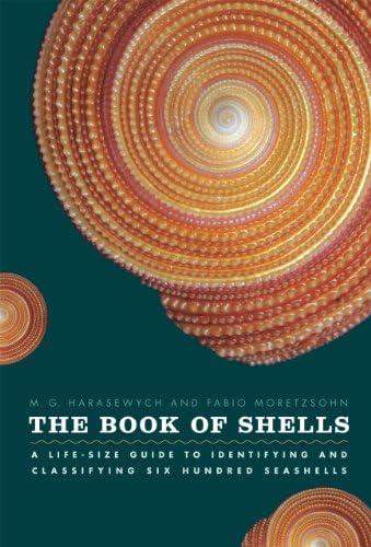 The Encyclopedia of Shells: Wye, Kenneth R.: 9780785812333: Amazon