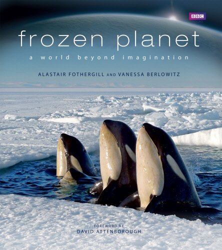 #19 — Frozen Planet