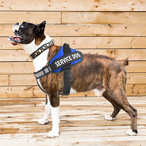 Bolux Service Dog Harness, Easy On and Off Pet Vest Harness 3M