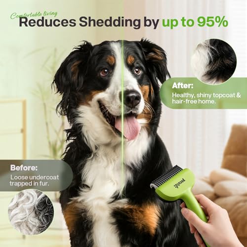 pecute Dead Hair Rake with Pet Combs, Self-Cleaning Undercoat Brush, Undercoat Undercoat Brush, Grooming Kit for Dogs Cats Stainless Steel for Long Hair(Green)