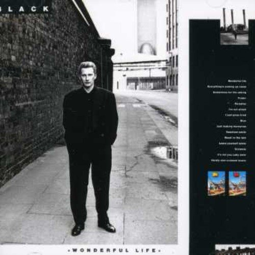 Image result for black wonderful life