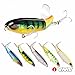 Seaknight Topwater Fishing Lure 13g 3.54in/ 19g 4.33in/ 39g 5.11in Fishing Floating Rotating Tail Bait Freshwater Saltwater Bass Lures