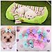 Dog accessories pet bed for dogs pet bed wholesale canvas dog bed with gift pet accessories proce
