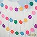 Bobee Rainbow Paper Garland Party Decorations, Girl's Birthday, Fiesta Streamers