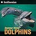Dolphins (Smithsonian-science)