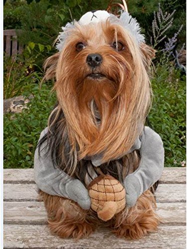 Petco Halloween Canine Squirrel Dog Costume, Small