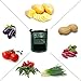 Potato-Grow-Bags,Garden Vegetable Planter with Handles&Access Flap for Vegetables,Tomato,Carrot, Onion,Fruits,Potatoes-Growing-Containers,Ventilated Plants Planting Bag,7 Gallons(10 Pack)thumb 3