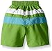 i play. by green sprouts baby boys Colorblock With Built-in Reusable Absorbent Diaper infant and toddler swim trunks, Lime/Aqua, 3T US