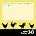 What the Cluck? 2020 Day-to-Day Calendar