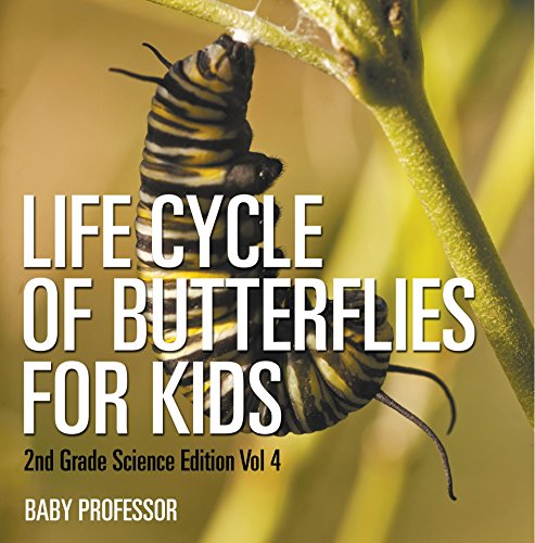 Life Cycle Of Butterflies for Kids | 2nd Grade Science