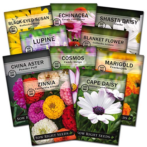 Sow Right Seeds - Flower Garden Seed Collection - Coneflower, Marigold, Zinnia, Cosmos, Cape Daisy, Aster, Lupine, Black-eyed Susan, Shasta Daisy, and Blanket Flower; Heirloom Seeds for Planting