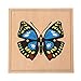 LEADER JOY Elite Montessori Nature Materials Butterfly Puzzle for Early Preschool Learning Toy