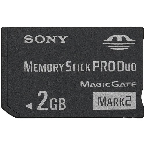 Sony 2 GB Flash Memory Card MSMT2G/TQ (Black)