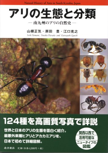 アリの生態と分類 山根 正気 本 通販 Amazon