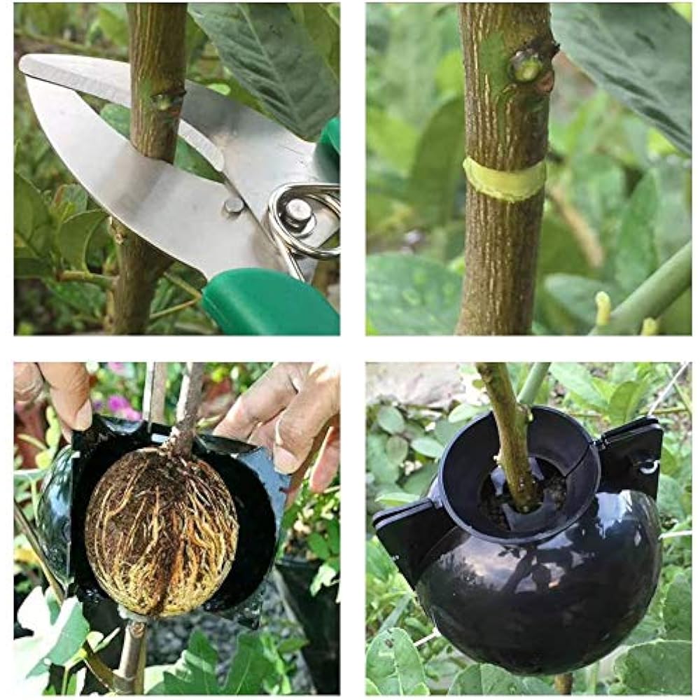 3Pack Large Plant Root Growing Box Rooting Device Ball 3Pack Large Plant Root Growing Box Rooting Device Ball