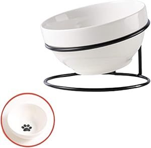TRUNDISAN Raised Cat Food Bowls,Ceramic,Single Feeding Bowl, Elevated Cat Bowl Tilted Feeding Dishes for Indoor Cats or Dogs,11 oz,with Black Metal Stand,Stress Free,Non Slip,Dishwasher Safe