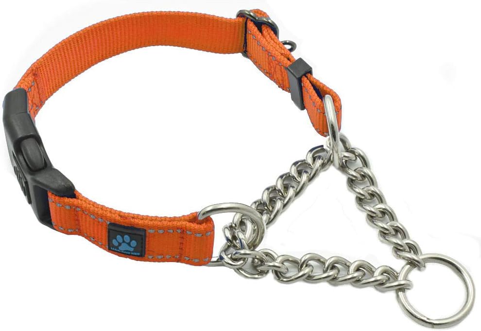 10 Best Martingale Dog Collars That Can Avoid the Slipping