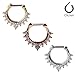 Ruifan 16G Nose Ear Daith Septum Clicker Ring with Clear CZ Gems 316L Surgical Steel 3PCS - Assorted Color 2#