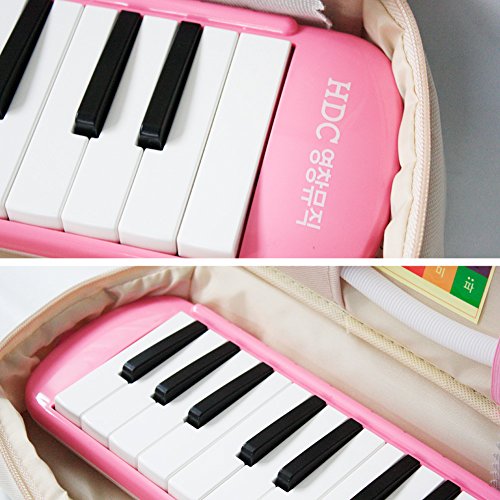 Youngchang 37 Piano Keys Students Melodica Musical Instrument with Carrying Bag / Made in Korea- Pink YM-NK37