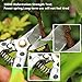 THANOS Professional SK-5 Hand Pruners, Garden Shears,Pruning Shears with Spring and Safety Buckle, Garden Clippers for Garden Harvesting Fruits & Vegetables, Trimming Plants Flowers (Light Green)thumb 4