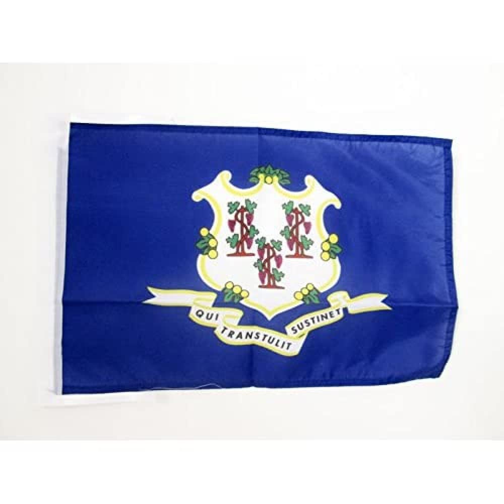 AZ FLAG - Connecticut Flag - 18'' x 12'' - 100% Polyester US state of Connecticut Small Banner with Two Cords - Fade Resistant - Vivid Colors - 18x12 in - 45x30 Cm โ image 1