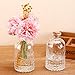 MyGift Vintage Embossed Clear Glass Bottle, Apothecary Style Flower Bud Vase, Essential Oil Diffuser Bottles with Cork Lid, Set of 2