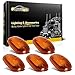 Partsam 5PCS Amber Top Roof Cab Marker Light 264146AM Light Amber Cover Lens with Base Housing Compatible with Dodge Ram 1500 2500 3500 4500 5500 2003-2018 Pickup Trucks