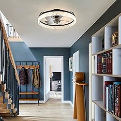 viniv 19'' Low Profile Ceiling Fan with Lights