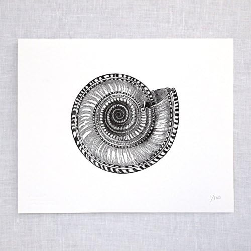 Solarium Shell Letterpress Art Print
