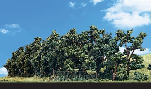 Classics Tree, Hedge Row 1-4" (1)